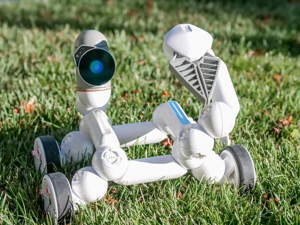 Gérer le Big Data dans le cloud : quels sont les enjeux ?